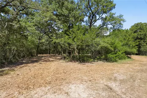 tbd Grassbur Rd, Bryan, TX 77808 photo 3