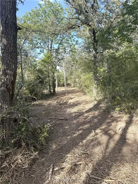 13358 Double Deuce Lane Ln NW, Bryan, TX 77807 photo 17