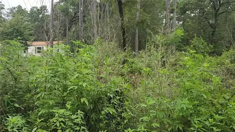 lot11 Scarlet Oak Dr, Plantersville, TX 77363