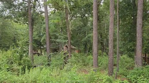 lot38 White Oak Dr, Plantersville, TX 77363