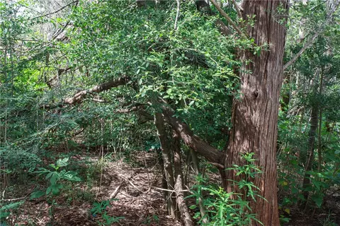 6005 Sunnydell St, Bryan, TX 77807 photo 7