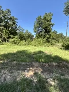 tbd Cr 488, Normangee, TX 77871 photo 2