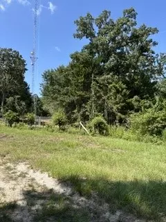 tbd Cr 488, Normangee, TX 77871 photo 4