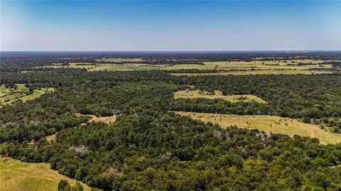 5151 Springfield, Normangee, TX 77871 photo 13
