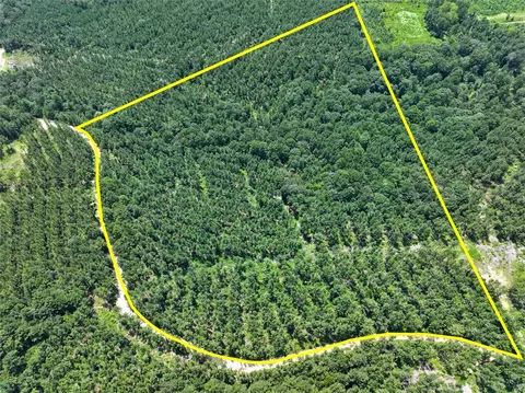 32 Ac Slim Palmer Rd, Other, TX 75980