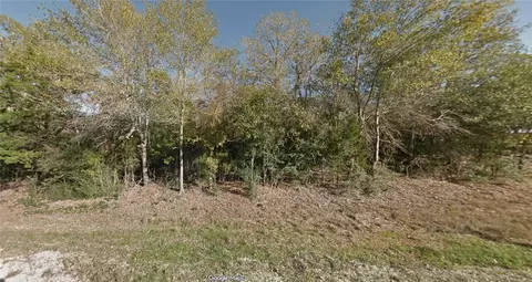 tbd Old Reliance Rd, Bryan, TX 77808 photo 3