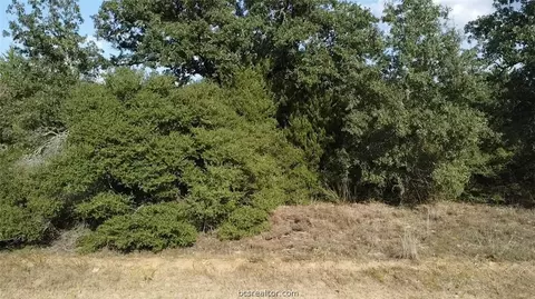 tbd Holly Springs Dr, Hilltop Lakes, TX 77871