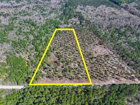 T-1 Boontown Road, Trinity, TX 75845 photo 6