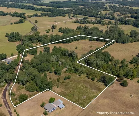 tbd County Road 320, Centerville, TX 75833 photo 13