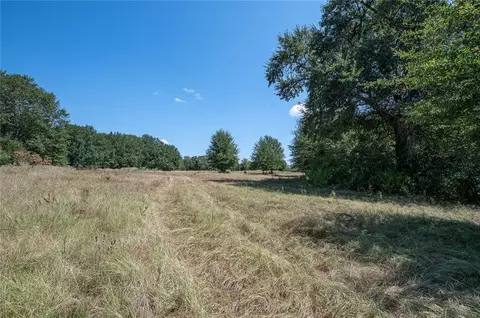 tbd County Road 320, Centerville, TX 75833 photo 2