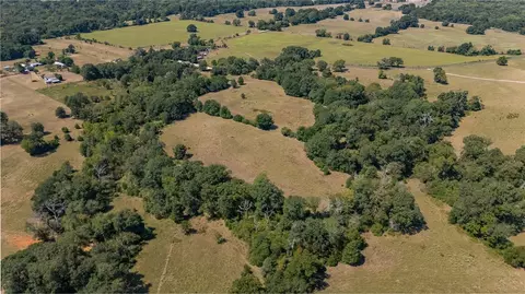 tbd County Road 320, Centerville, TX 75833 photo 8