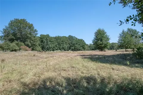 tbd County Road 320, Centerville, TX 75833 photo 3