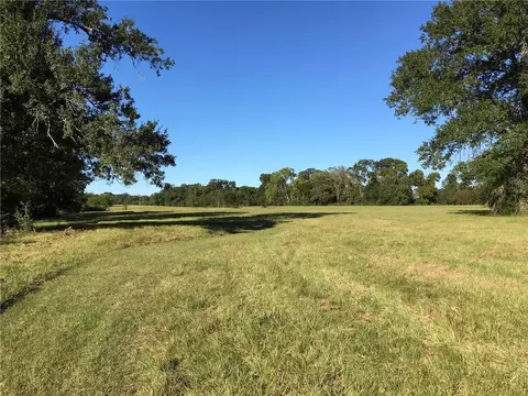 10559 Hampton Ct, Iola, TX 77861 photo 17