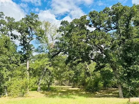 10559 Hampton Ct, Iola, TX 77861 photo 5