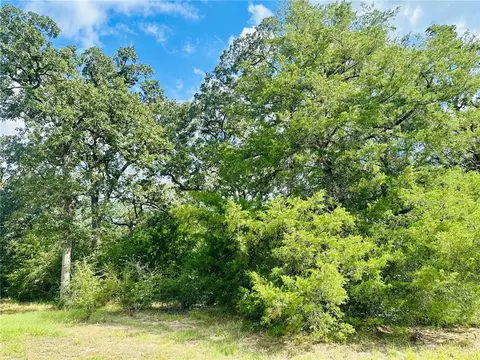 10559 Hampton Ct, Iola, TX 77861 photo 4