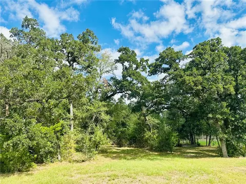 10559 Hampton Ct, Iola, TX 77861 photo 6