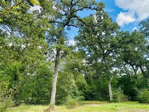 10559 Hampton Ct, Iola, TX 77861 photo 3