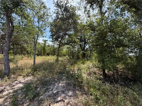 433 Cresent Bnd, Cameron, TX 76520 photo 17