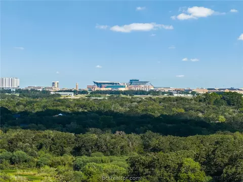 View/Area - 1905 Cambria Dr, Bryan, TX 77802 photo 8 of 8