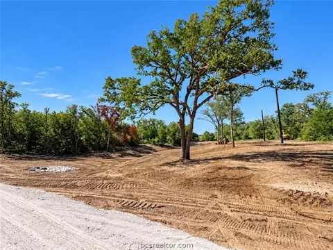lot13 14 Meadow St, Somerville, TX 77879