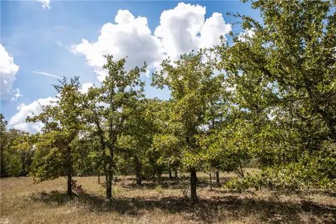 tbd Fm 180, Ledbetter, TX 78946 photo 7