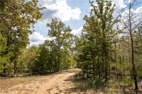 tbd Fm 180, Ledbetter, TX 78946 photo 4