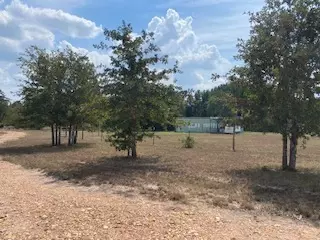 tbd Fm 180, Ledbetter, TX 78946 photo 9