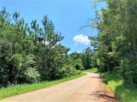 558 County Road 4101, Other, TX 75766