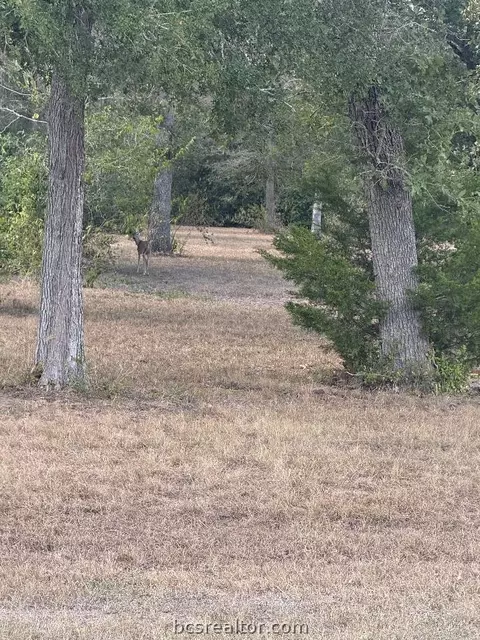 1251 Deer Point Rd, Caldwell, TX 77836