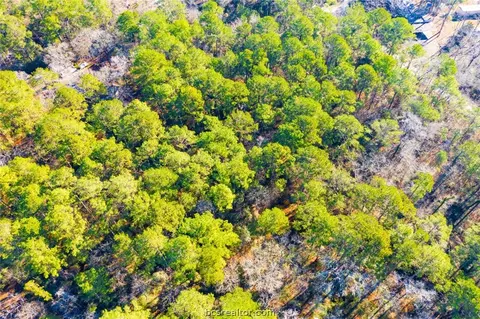 lot30 Cedar Ct, Trinity, TX 75862 photo 12