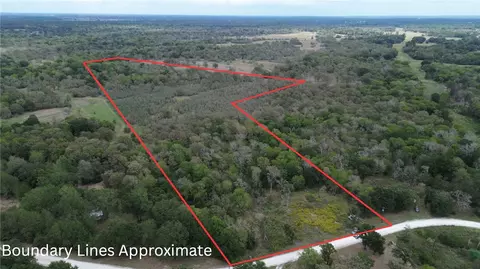 26234 Bedias Dr, Bedias, TX 77831