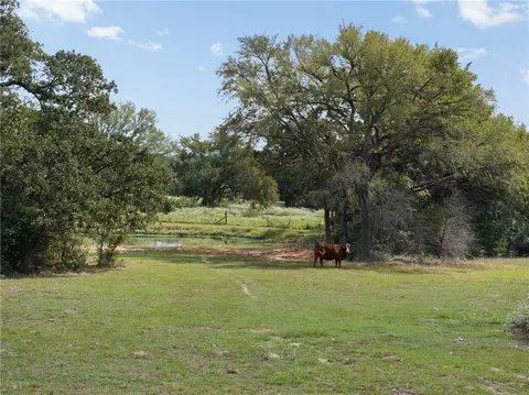 11509 S Hickory Loop, Calvert, TX 77837 photo 23