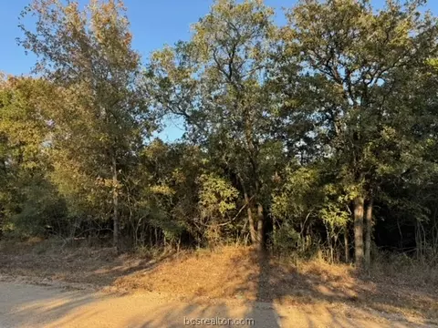3387 Beaver Creek Rd, Caldwell, TX 77836