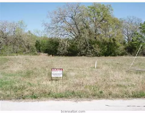 4364 Nighthawk Ct, Bryan, TX 77808 photo 4
