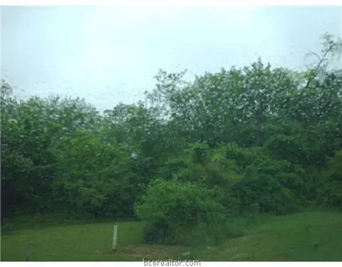1225 Wheeler St, Bryan, TX 77803 photo 2