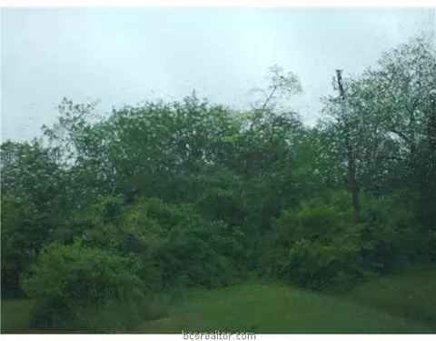 1225 Wheeler St, Bryan, TX 77803 photo 3