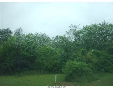 1225 Wheeler St, Bryan, TX 77803 photo 4