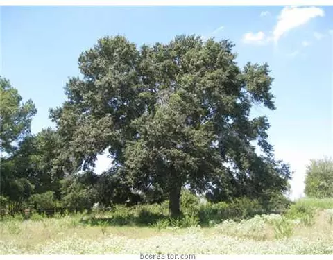 6569 Dick Elliott Rd, Bryan, TX 77808 photo 11
