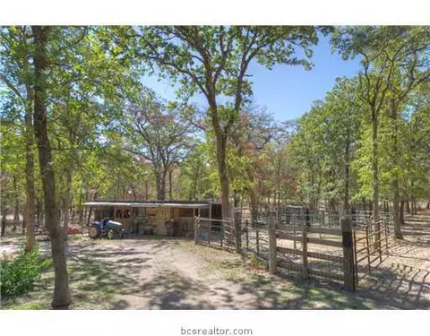 10352 Jackrabbit Ln, Bryan, TX 77808 photo 11