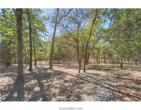 10352 Jackrabbit Ln, Bryan, TX 77808 photo 12