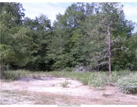 3600 Dawn Ct, Bryan, TX 77802 photo 6
