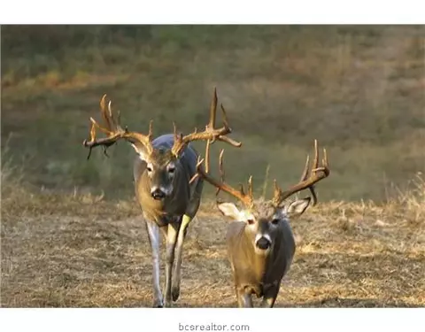 573 County Road 270, Cameron, TX 76520 photo 1
