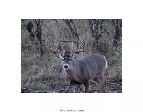 573 County Road 270, Cameron, TX 76520 photo 3