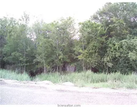 5749 Standing Rock Rd, Bryan, TX 77808 photo 8
