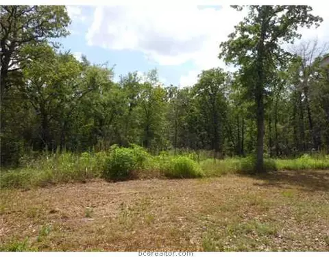 10938 This, Bryan, TX 77807 photo 3