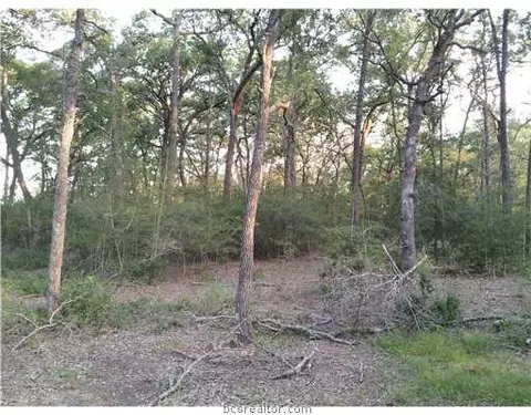 9999 Weedon, College Station, TX 77845 photo 3