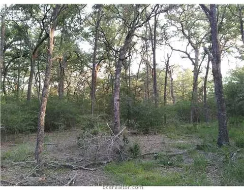 9999 Weedon, College Station, TX 77845 photo 4