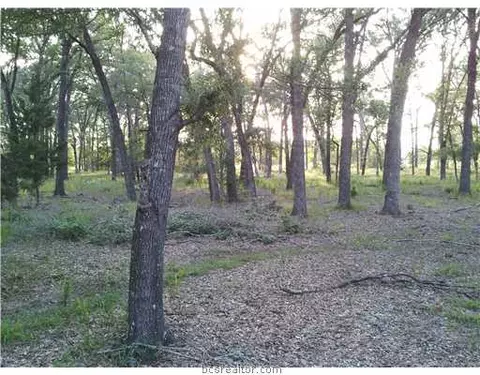 9999 Weedon, College Station, TX 77845 photo 5