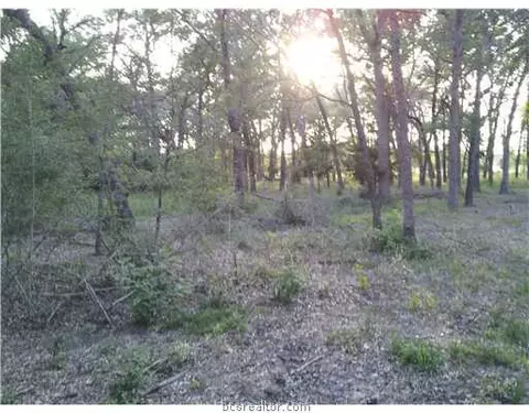9999 Weedon, College Station, TX 77845 photo 2
