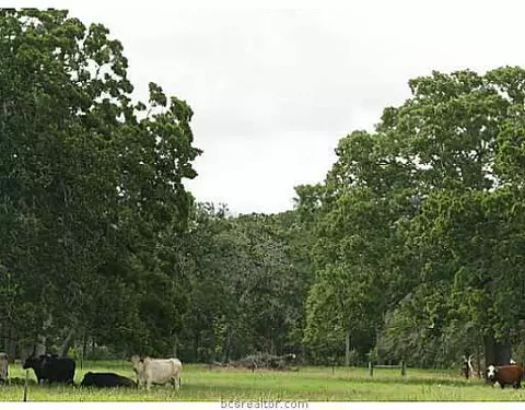 4374 Cliff Rd, Bryan, TX 77808 photo 18